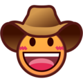 [em_EmojiDex:牛仔帽脸]